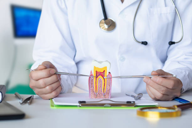 Best Same-Day Emergency Dentist in Tekamah, NE